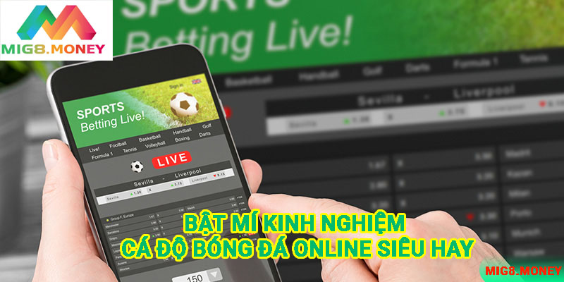 Chuyên gia MIG8 bật mí kinh nghiệm cá độ bóng đá online