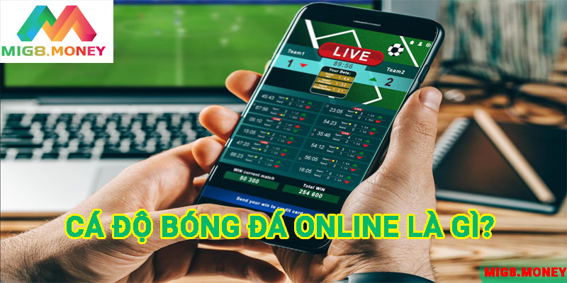 Khái niệm cá độ bóng đá online