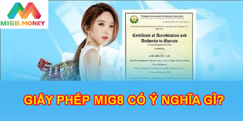 Giấy phép MIG8 có nhiều ý nghĩa quan trọng