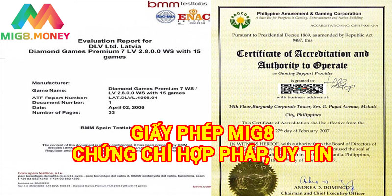 Giấy phép MIG8